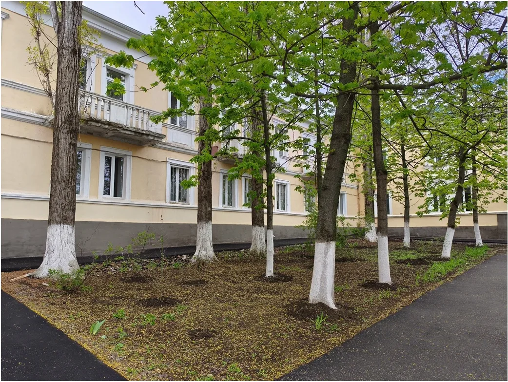 🌳 Экологический десант: «День древонасаждений» в нашей школе