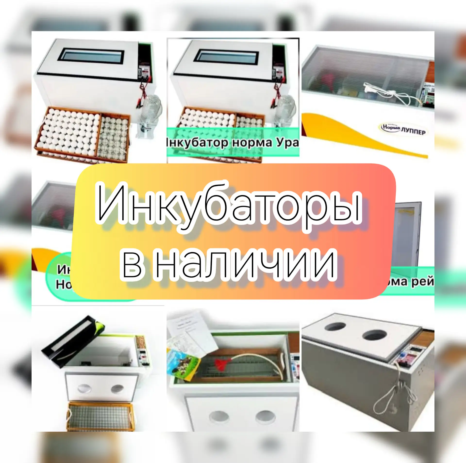 КАК ПРАВИЛЬНО ВЫБРАТЬ ИНКУБАТОР?