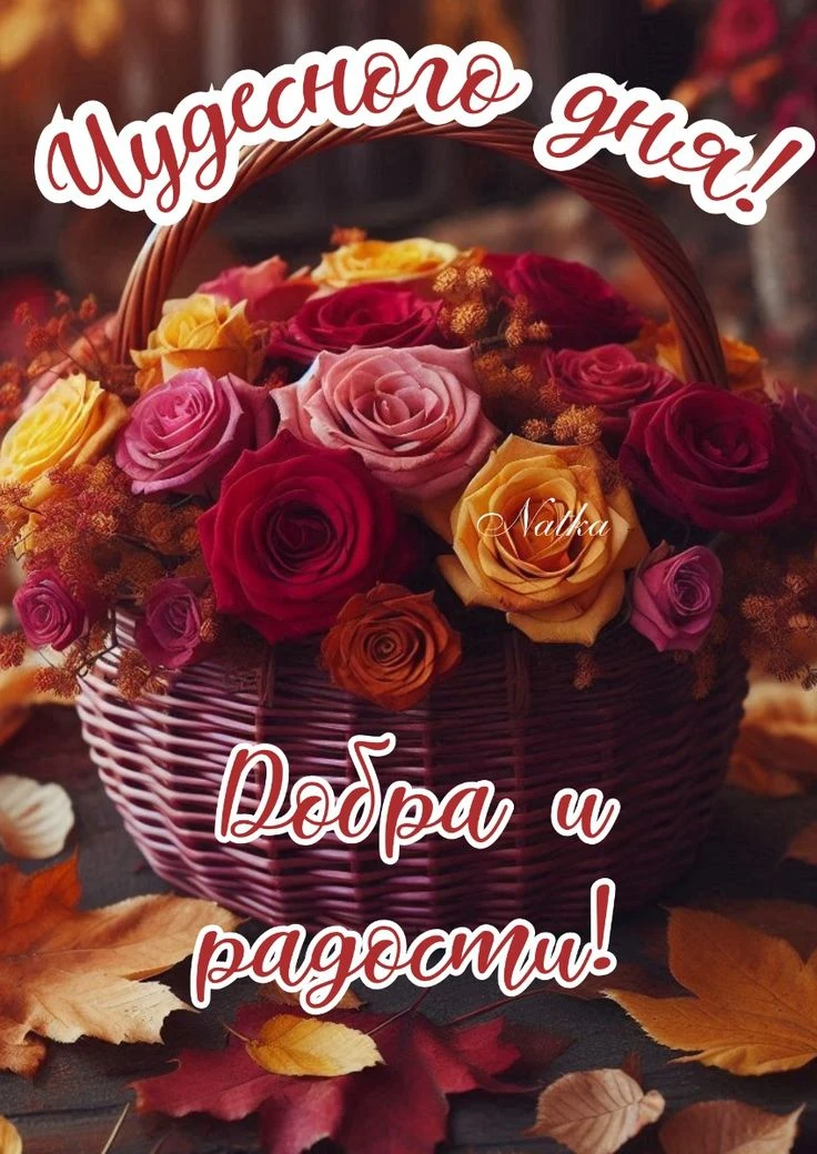 МИР ПОЗИТИВА 🤩 ОТКРЫТКИ!
