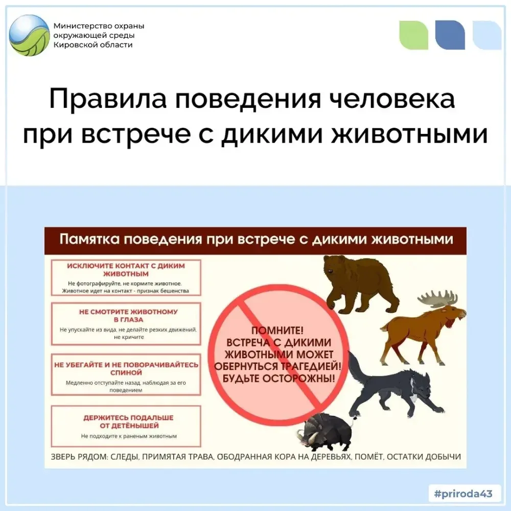 #ДетскаяБезопасность