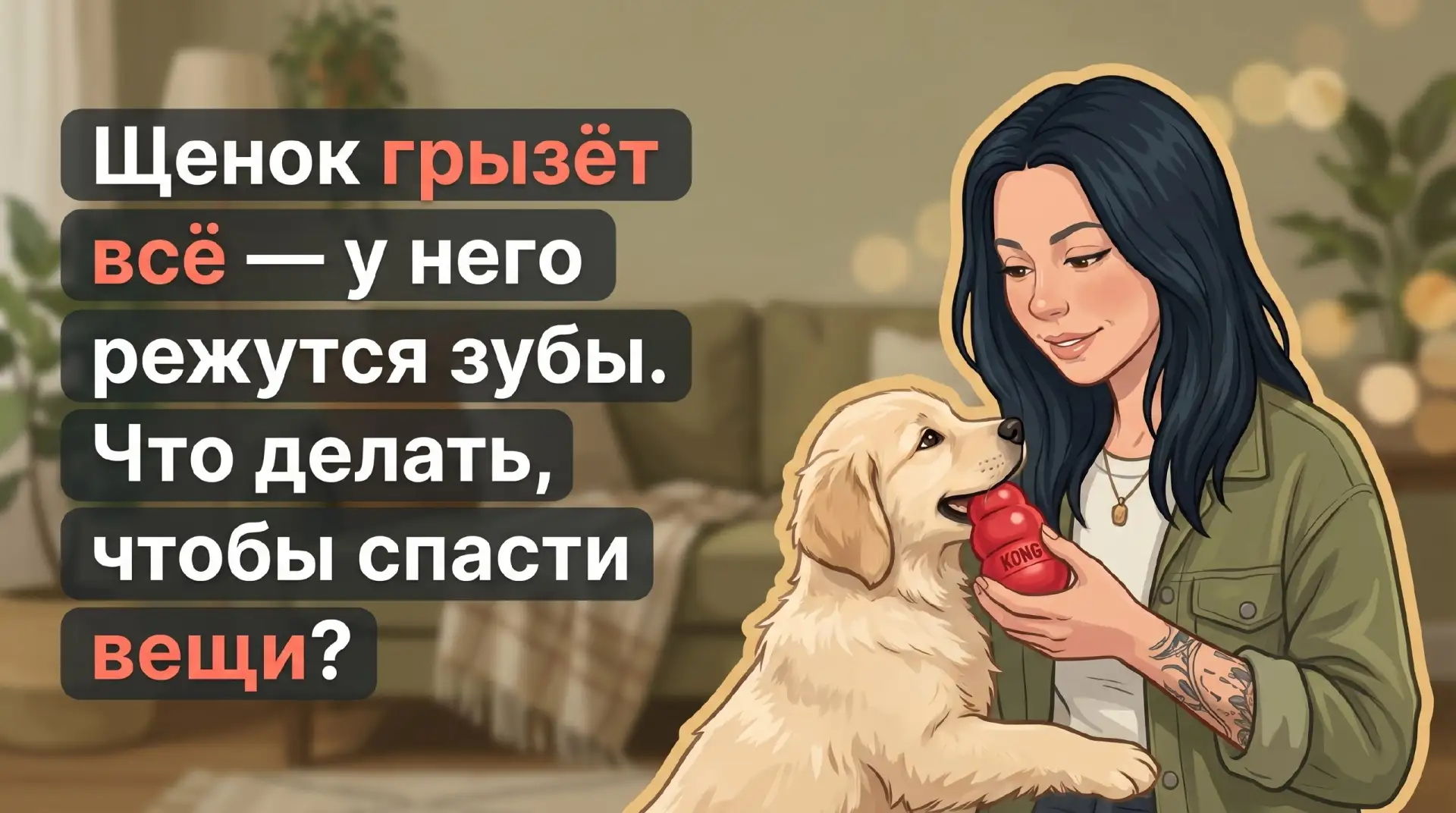 Щенок грызёт всё при смене зубов — как помочь? 🐶

Коррекция поведения собак в этот период начинаетс