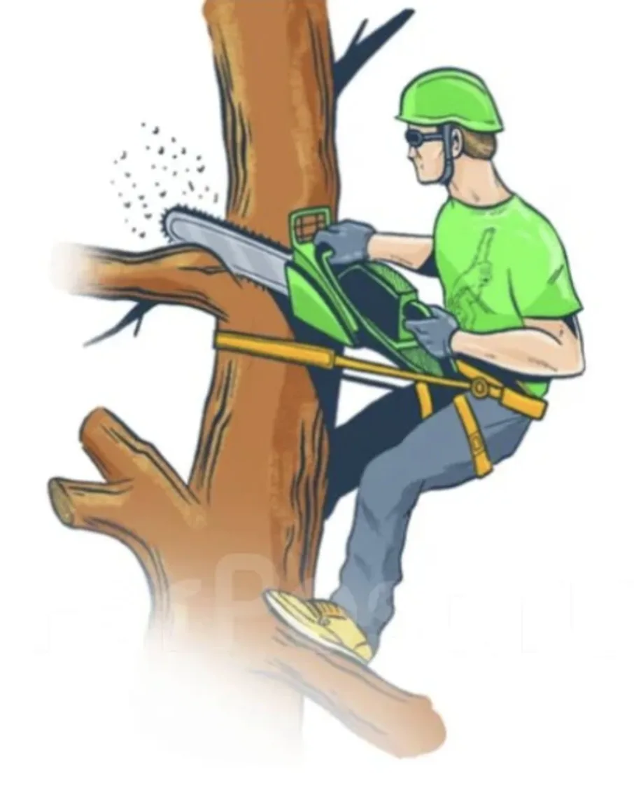 🌳 В связи с проведением работ по обрезке деревьев 28 июля с 9:00 до 16:00 будет перекрыто движение 