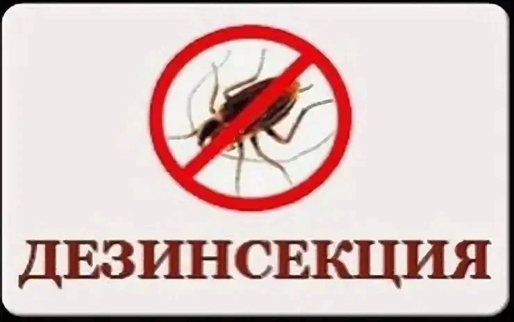 📢Уважаемые жители!

⛔ Важно! Дезинсекция подвальных помещений.

18 июня с 10:00 до 13:00 будет пров