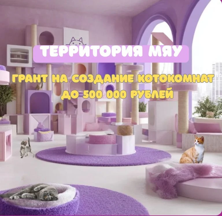Грантовый конкурс на создание котокомнат «Территория Мяу»  Приём заявок: до 12 мая 2026 года  Открыт