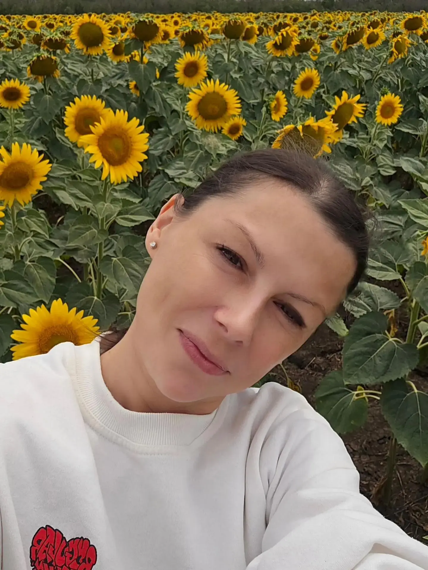 💤Субботнее

🌻Подсолнухи

Ирина Куксенкова в Макс