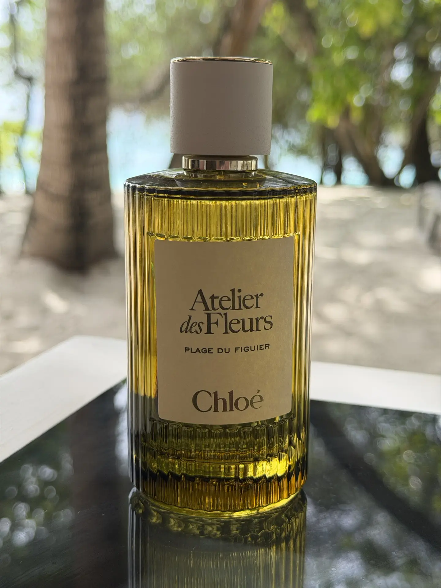 🌿 Chloé Atelier des Fleurs Plage du Figuier — потрясающая новинка 2026 года для тех, к...