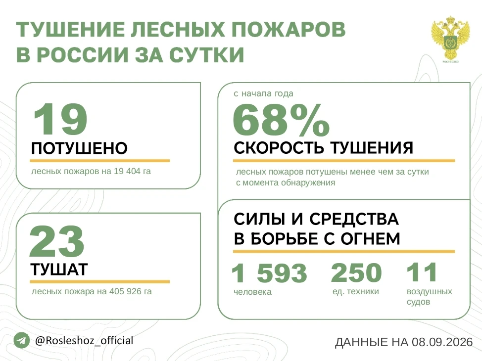 🟢 За прошедшие сутки в 10 регионах России потушили 19 лесных пожаров.