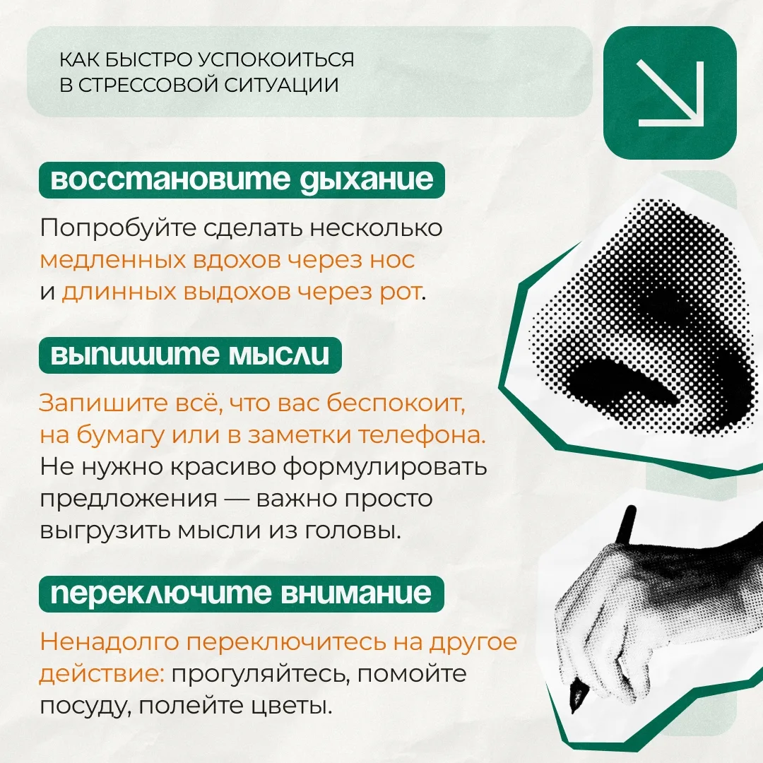 😴 Экзамены, поступление и важные решения — в такой период стресс становится особенно сильным. Трево