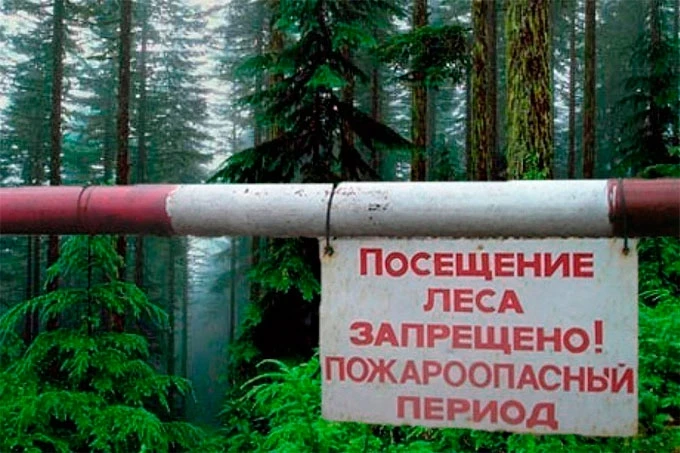 ❗️В Зауралье запрет на посещение лесов продлили до 13 июля, — администрация.