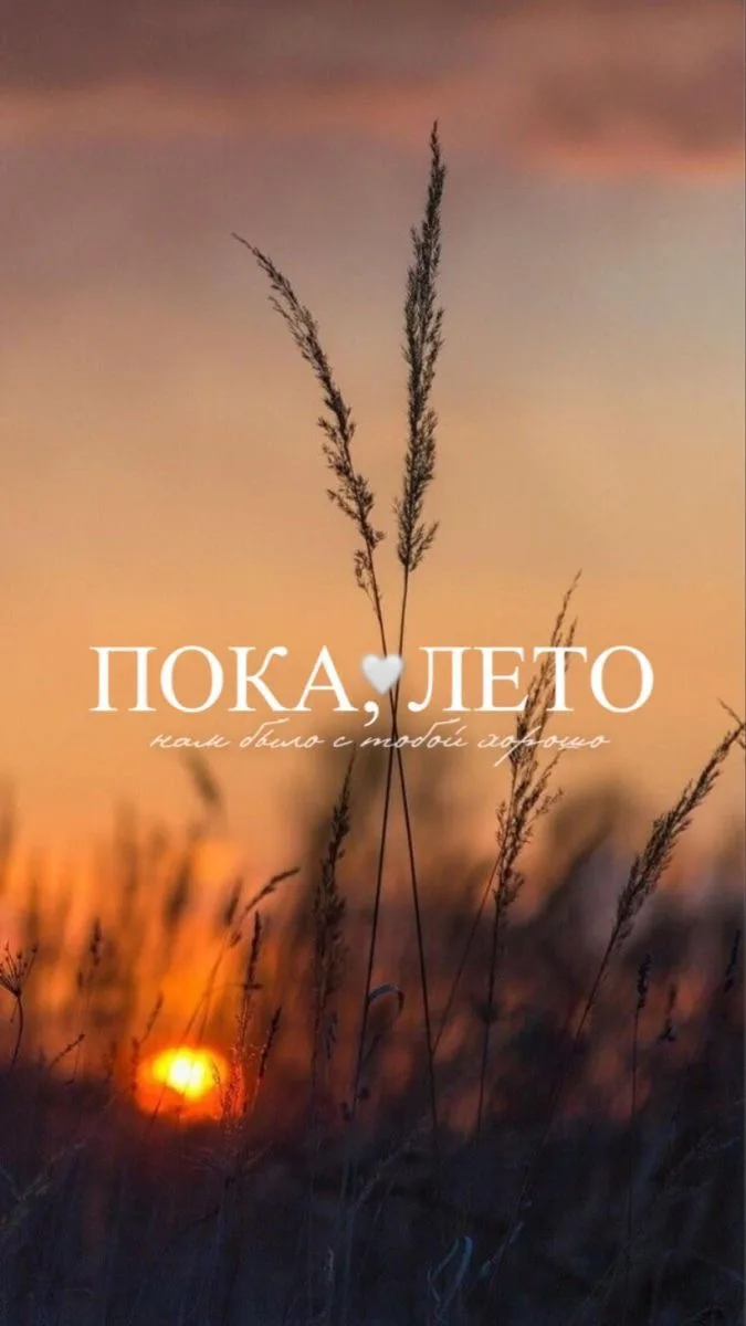 Не грустите, осень -это красиво 🍁
