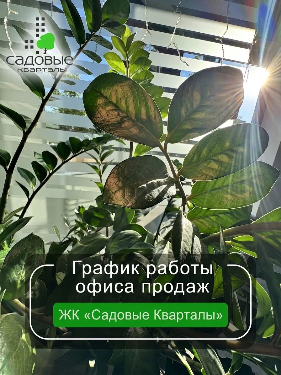 Друзья! Офис продаж «Садовых кварталов» работает в эту субботу, 22 августа. 🏠