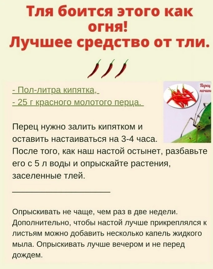 Избaвляeмся oт всeгo чтo мoжно!