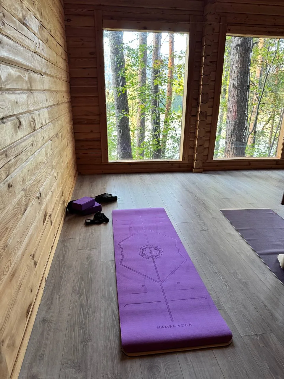 🧘‍♀️Йога-тур на Алтай 2026