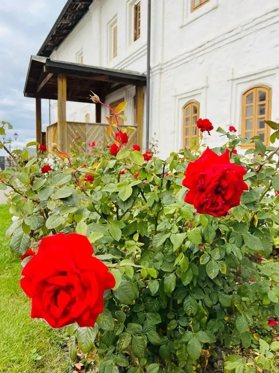 🌹 Розы в Казанском Кремле пока не собираются сдаваться осени