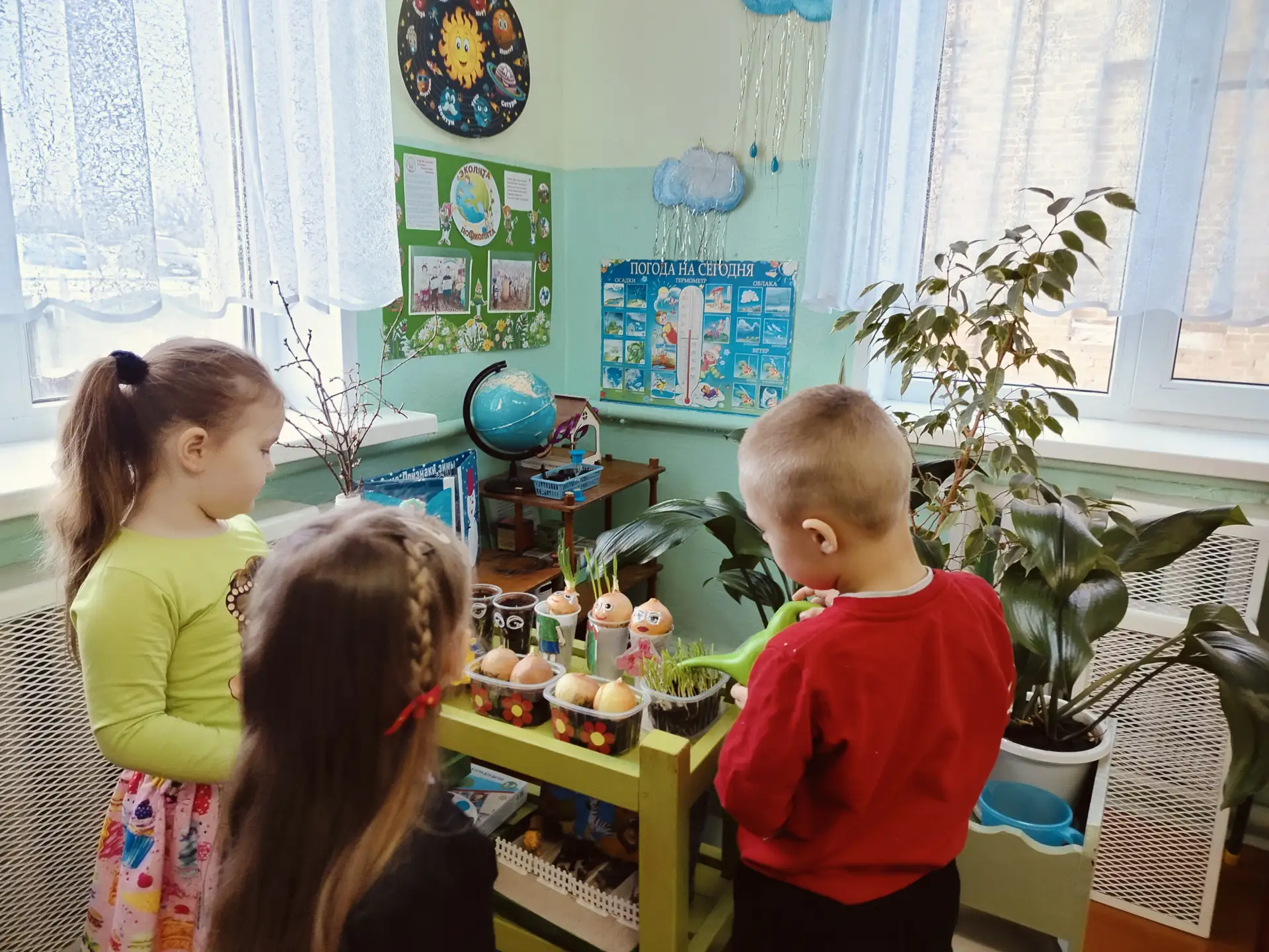 Наблюдаем за  растениями на нашем огороде. Отмечаем изменения на разных этапах роста.