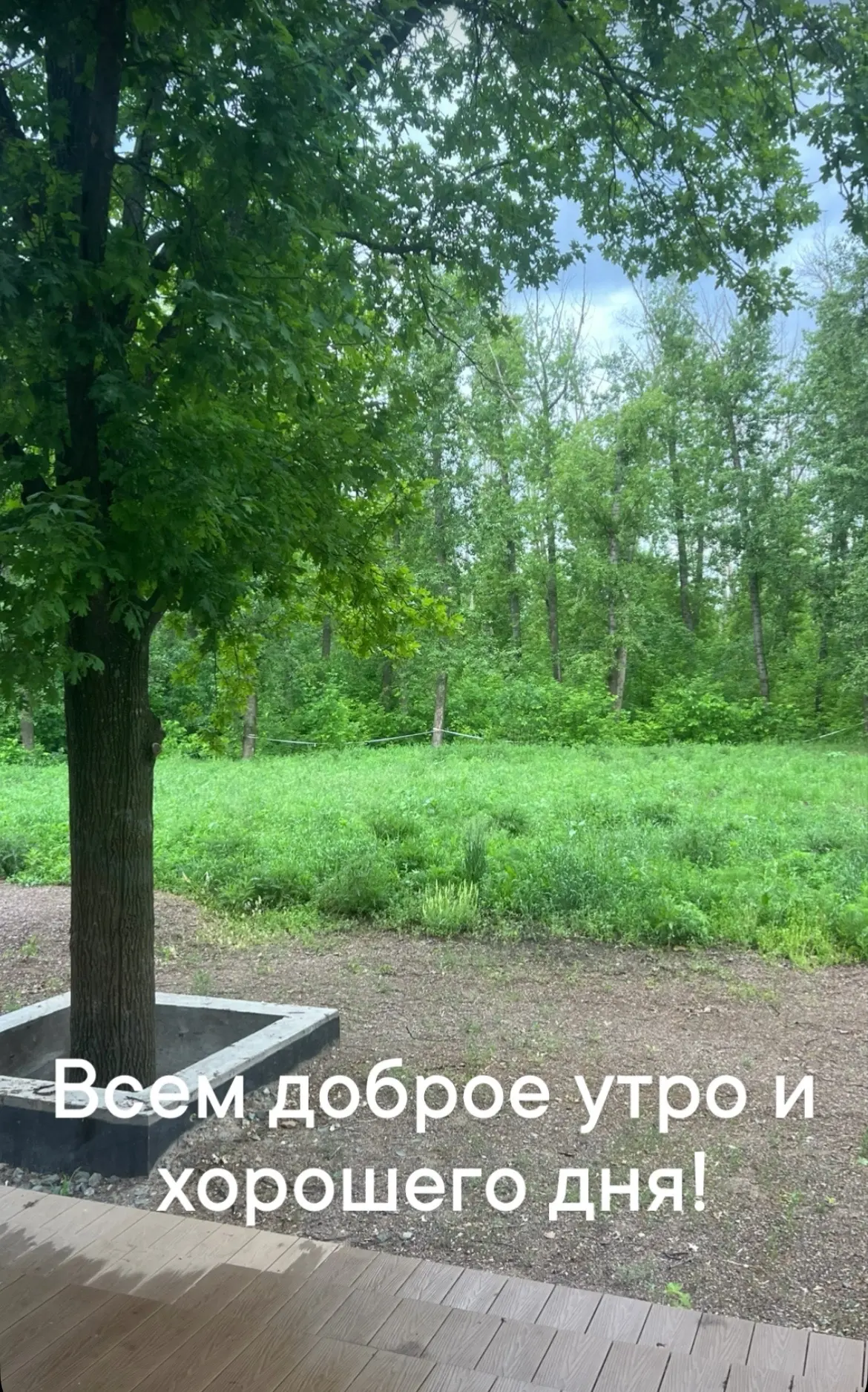 У меня сегодня прием и другая работа, у девочек лагерь на акробатике и у Дианы шахматы.