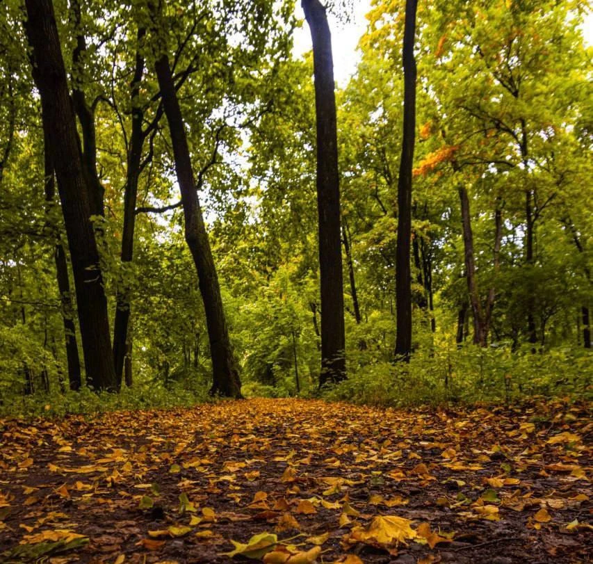 Погода в Вихоревке 7 октября 🍁