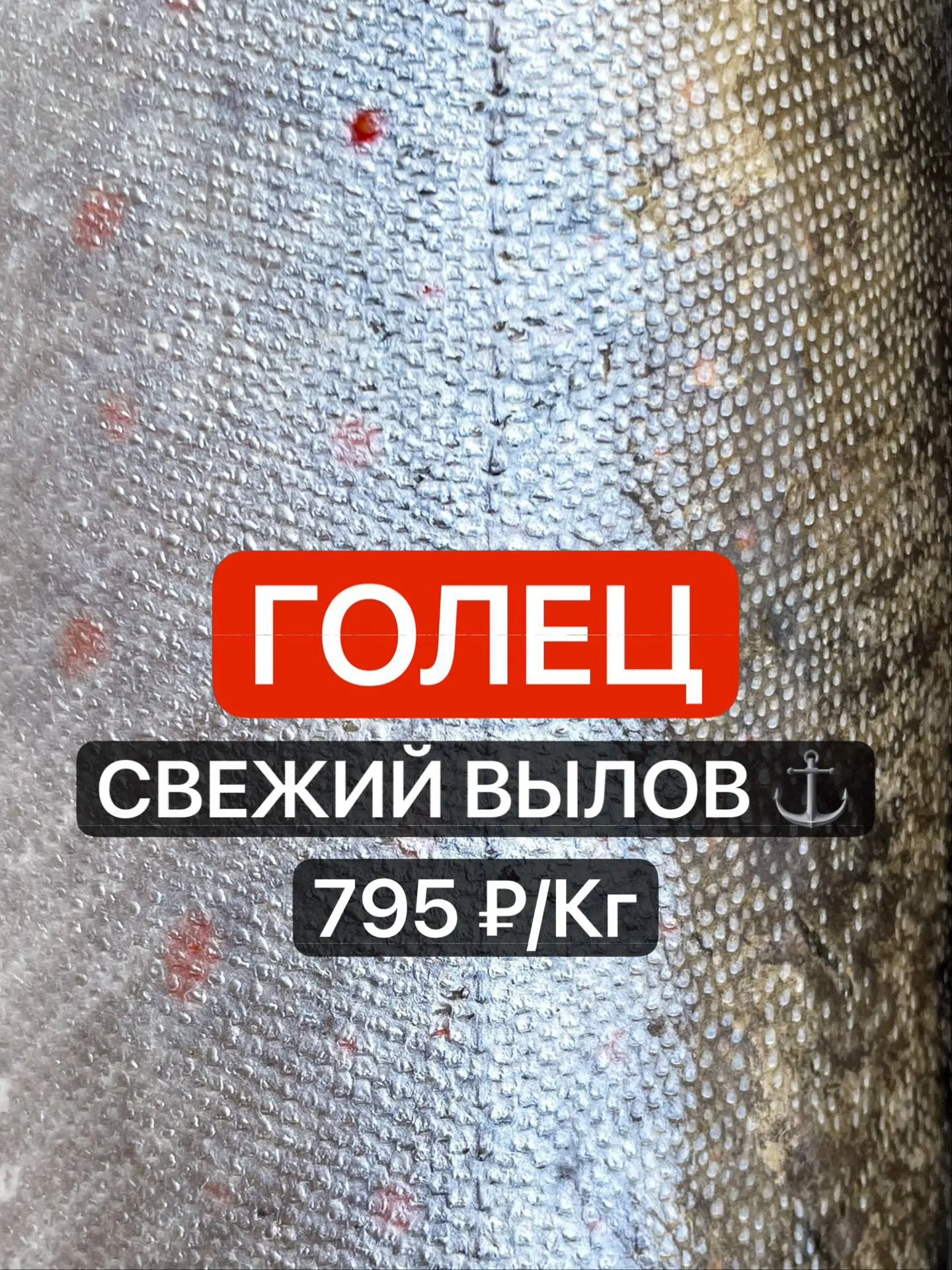 🐟🔥 ГОЛЕЦ СЕЗОНА 2026 КАРАГИНСКАЯ ПОДЗОНА