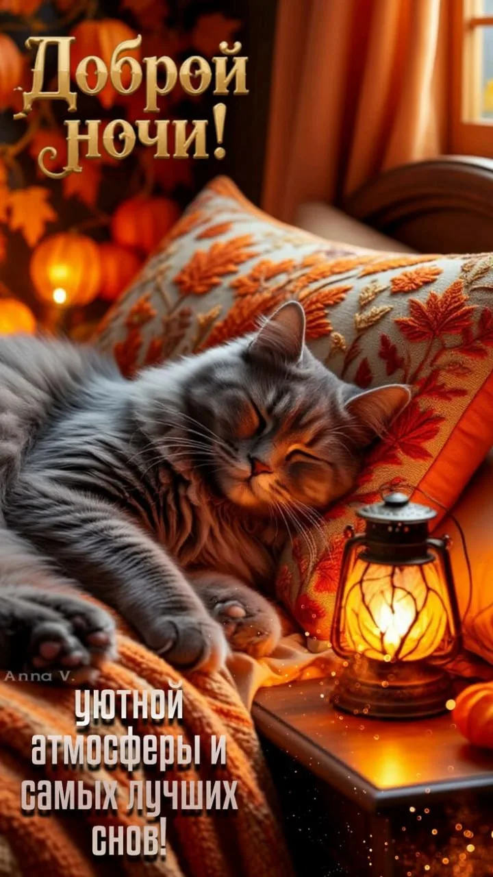 Сладких снов😊✨💖