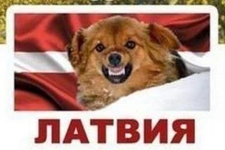 🤦🏻‍♂ Латвия готова разместить у себя ядерное оружие — президент страны Эдгарс Ринкевич