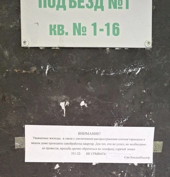 Добрый день