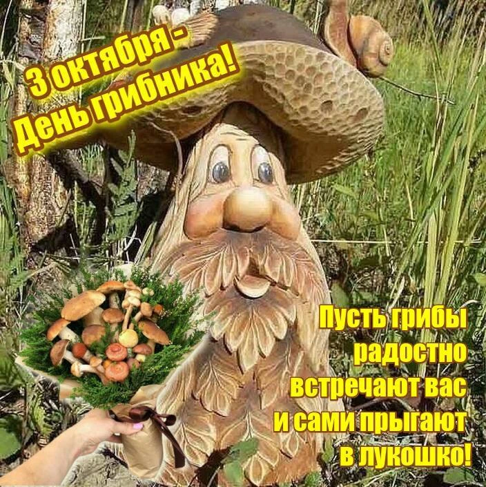 🍄 🍄🍄 С Днём грибника! Пусть каждый поход в лес приносит радость и богатый урожай!