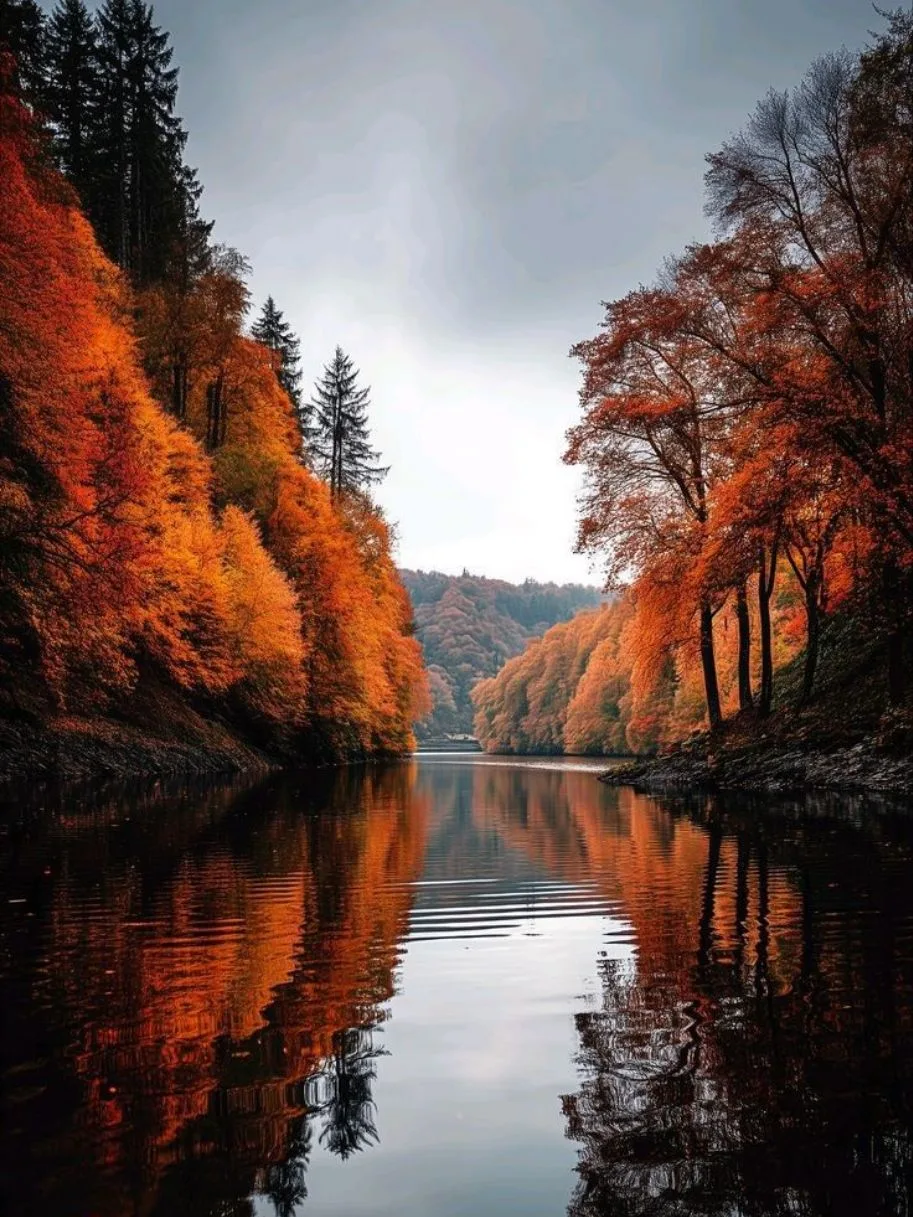 🍂✨🍂✨🍂✨🍂✨🍂✨🍂