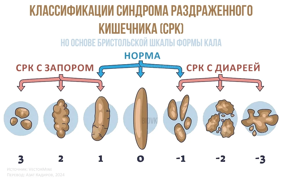 Представьте себе: вы собираетесь на важное событие, но ваш живот начинает играть в собс...