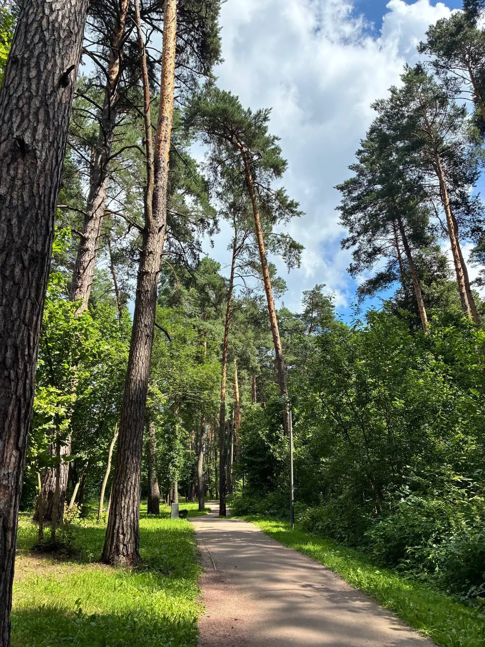 Доброе утро! ☀️