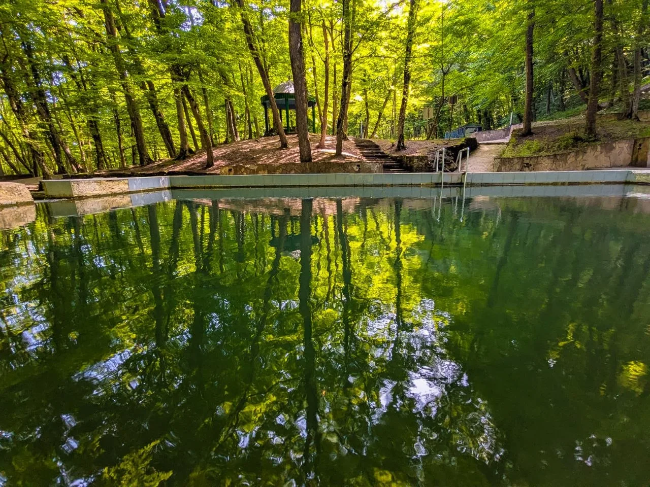 🌳Летняя прохлада Таманского леса