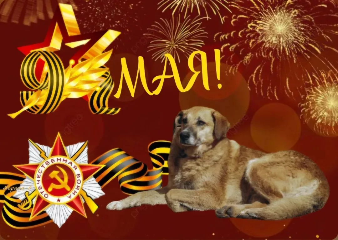 Друзья, поздравляем вас с Днём Победы!
