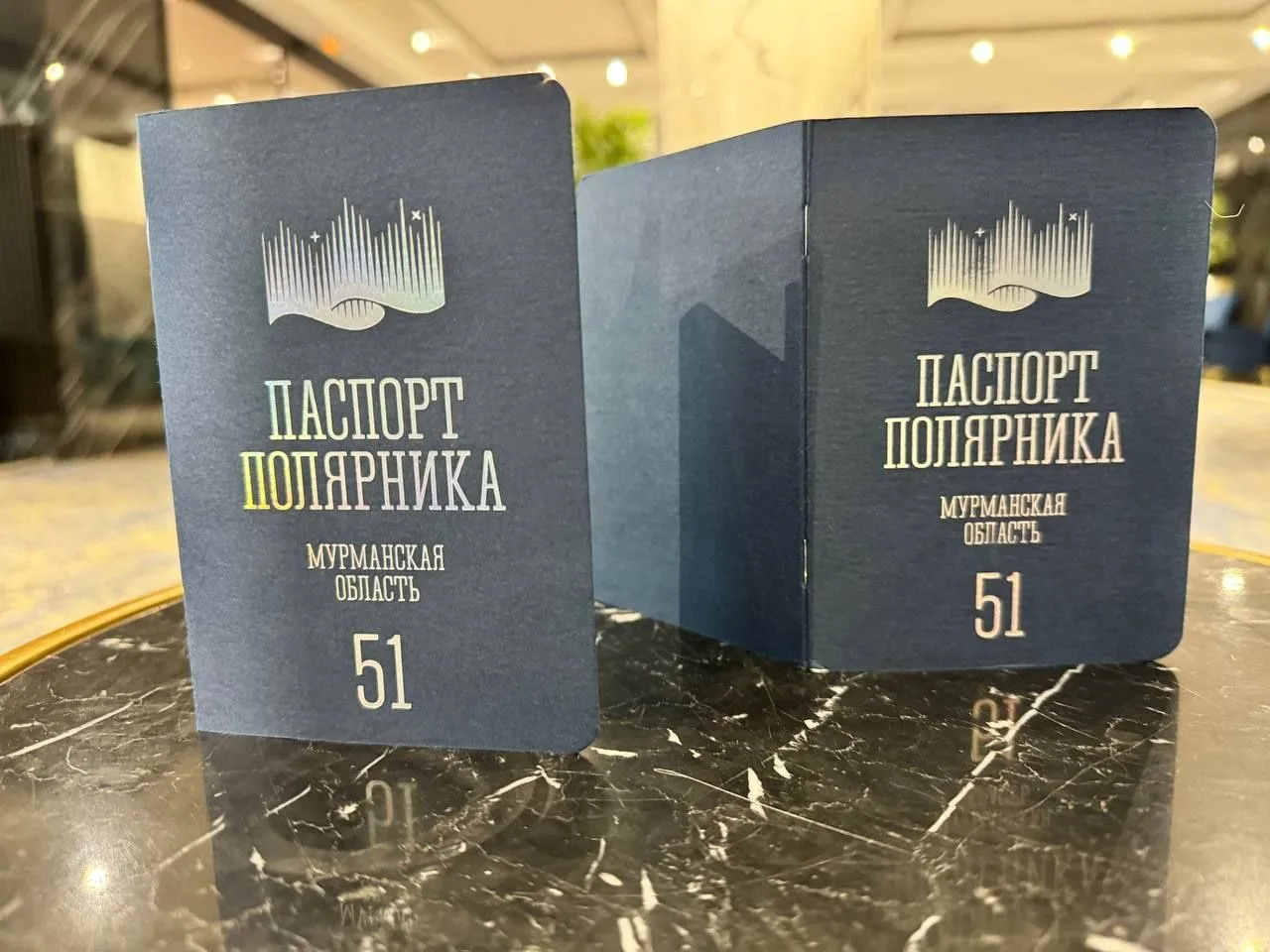 В 2025 году более 6 тысяч человек  купили  сувенирный «Паспорт Полярника» в Мурманской области, то н