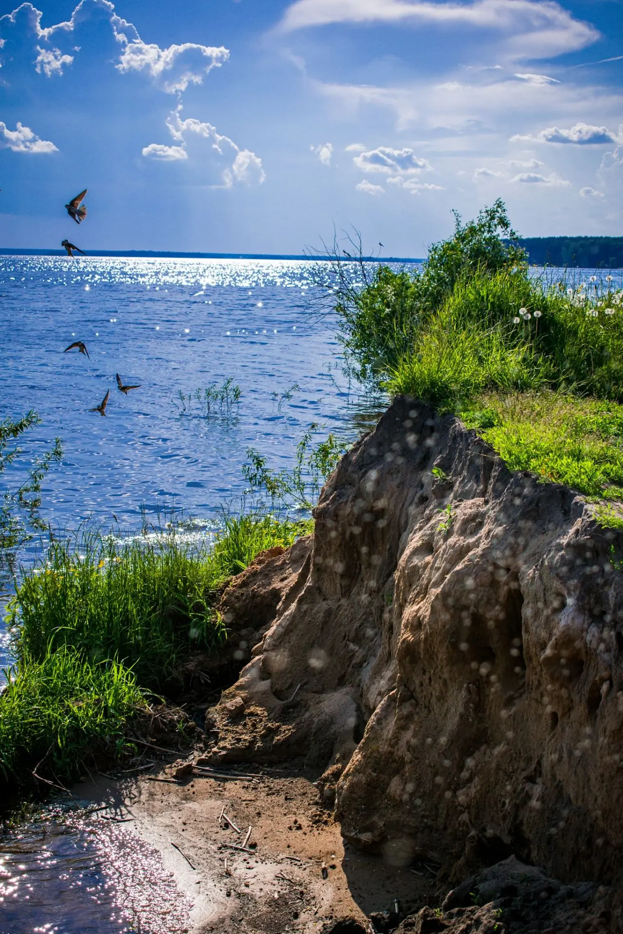По работе за городом. Погода радует ☀️

Автор: Максим Трунов.