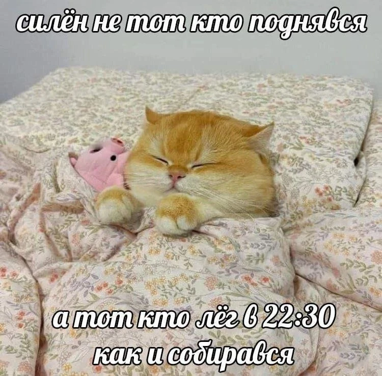 ✨ Чудесных снов!