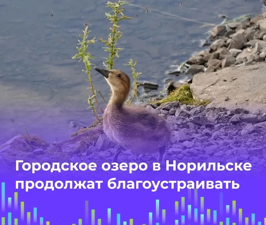 💧Городское озеро в Норильске продолжат благоустраивать