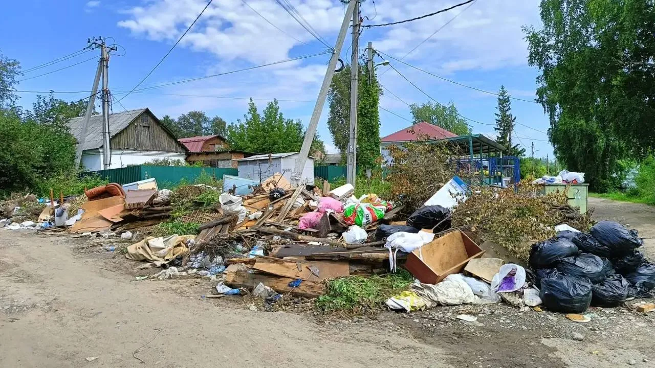 #письмо_в_редакцию

***
Беспокоют Вас со Степановки, ул. Социалистическая. Возле мусорных контейнеро