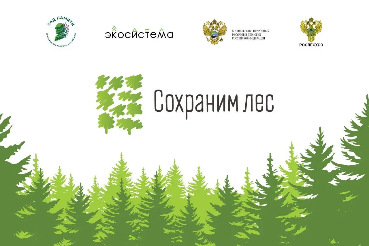 🌲 Уже в эту пятницу присоединяемся к Всероссийской акции «Сохраним лес»!