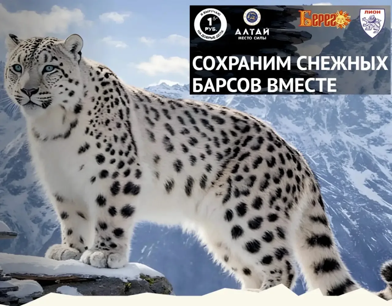 СОХРАНИМ СНЕЖНЫМ БАРСОВ ВМЕСТЕ!