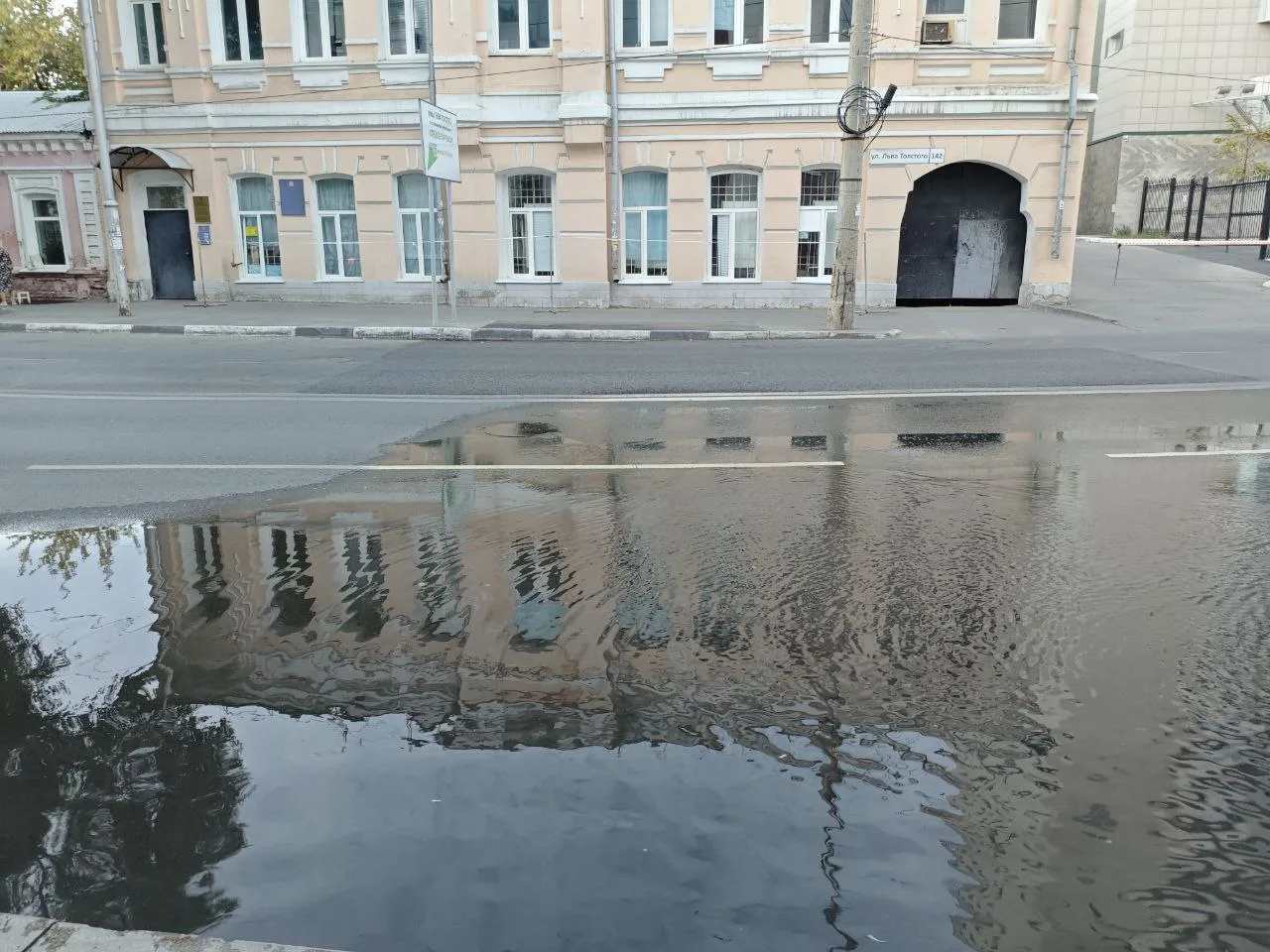 На Льва Толстого открылся ручей. Недавно ему исполнился месяц 💦