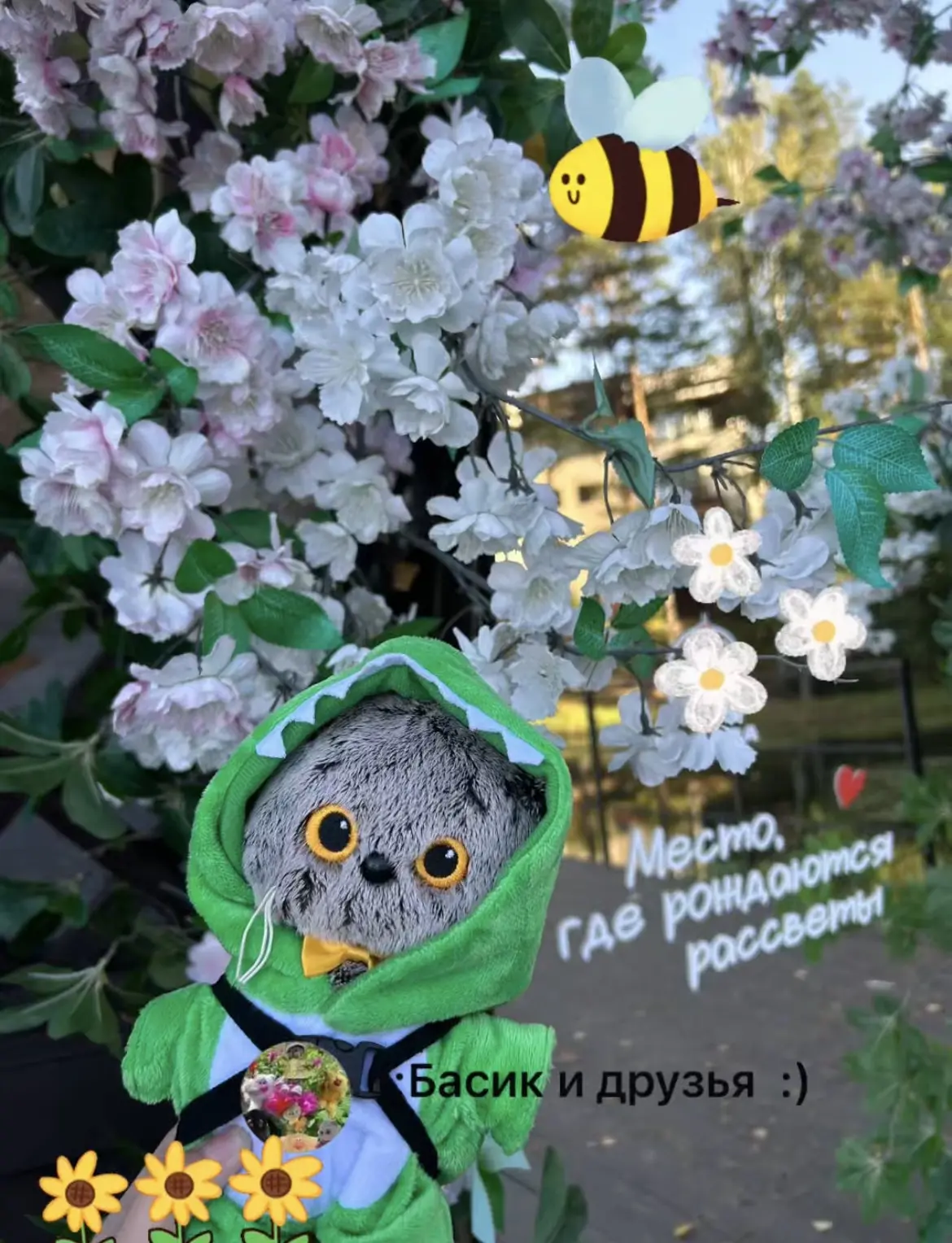 Место где рождаются рассветы❤️🌅