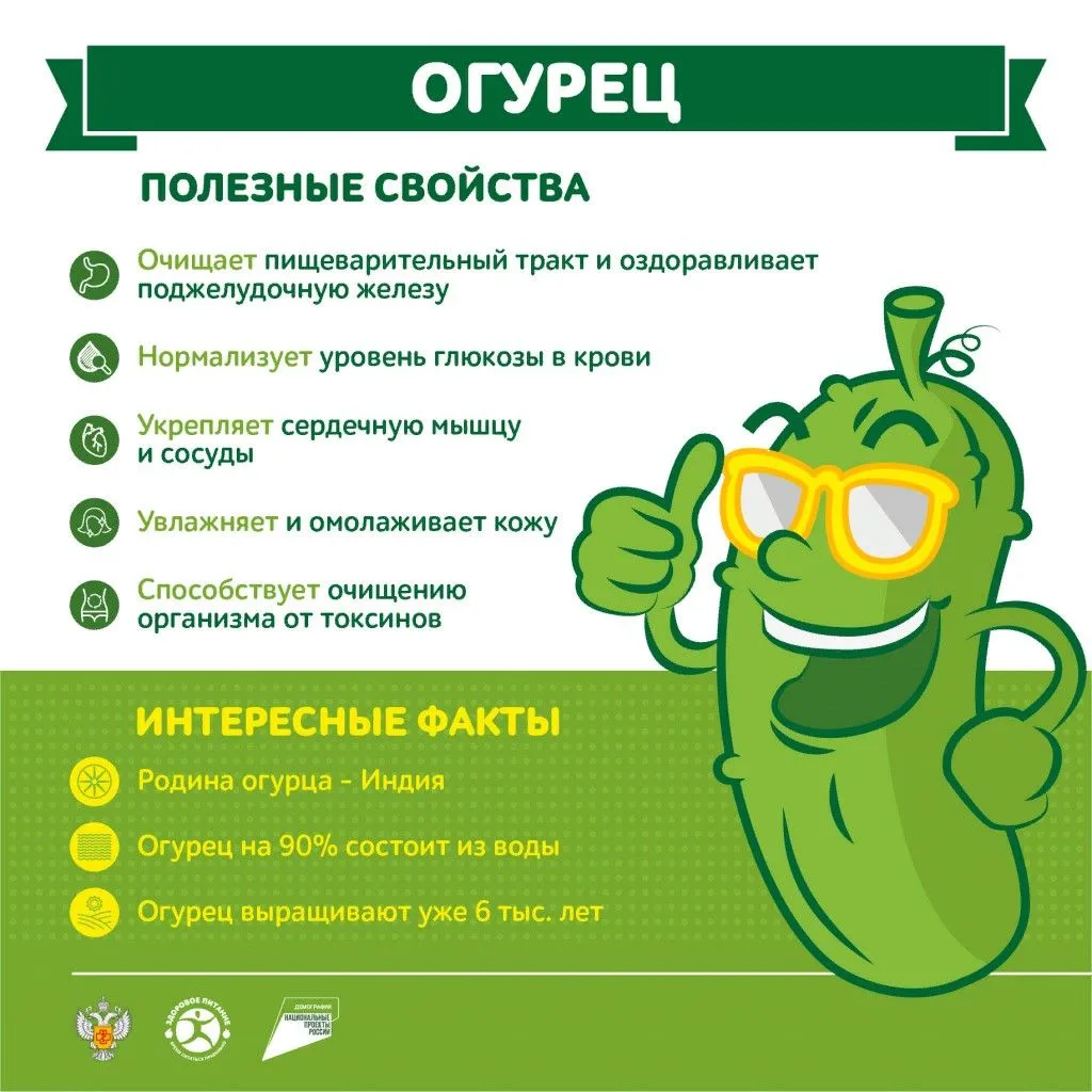 В летнем лагере огурцы часто включают в рацион
 
В летнем лагере огурцы часто включают в рацион как 