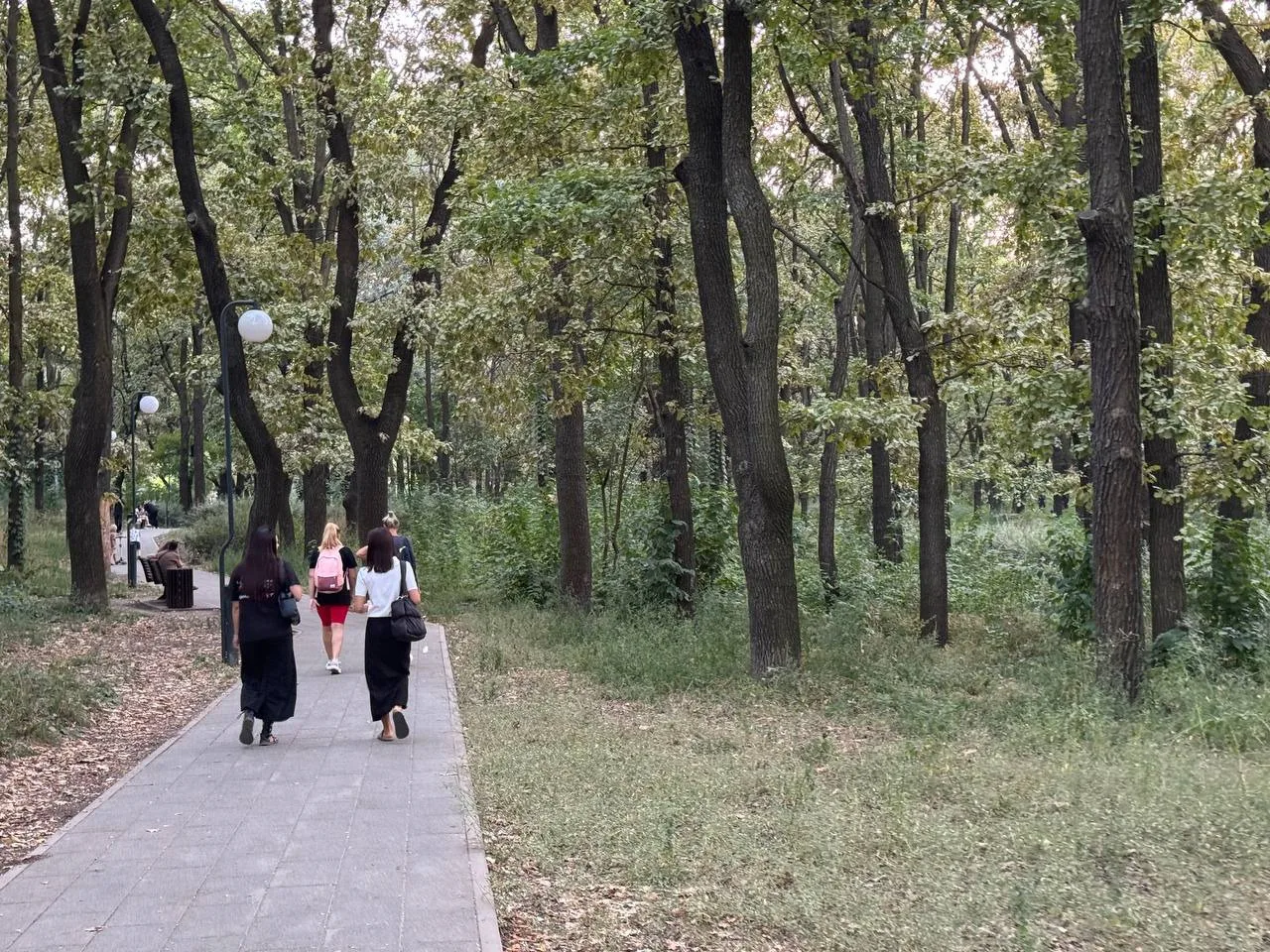 🌳 Ещё один контраст из отчётов Камбуловой. Всё лето глава города рассказывала, как адм...