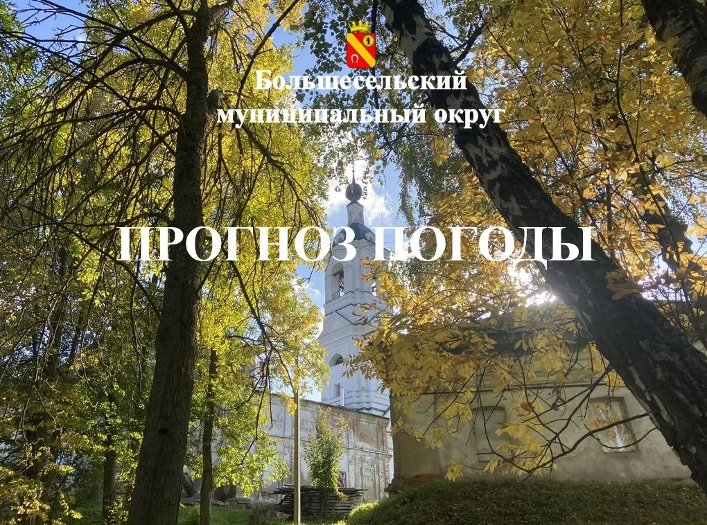 Прогноз погоды на 1 октября в Большесельском округе