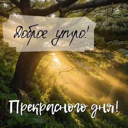 С добрым утром ♥️☕