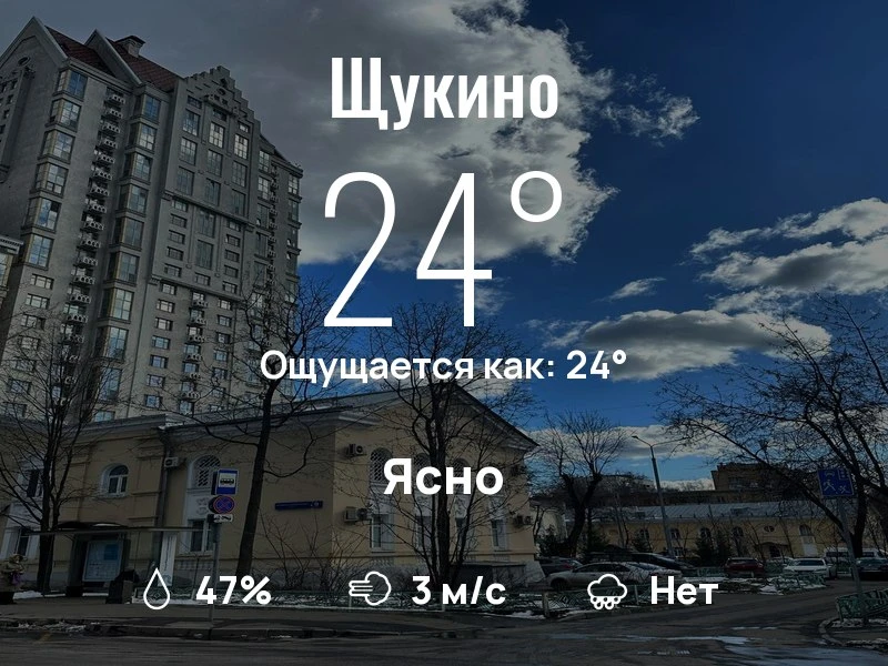 Что с погодой в Щукино?