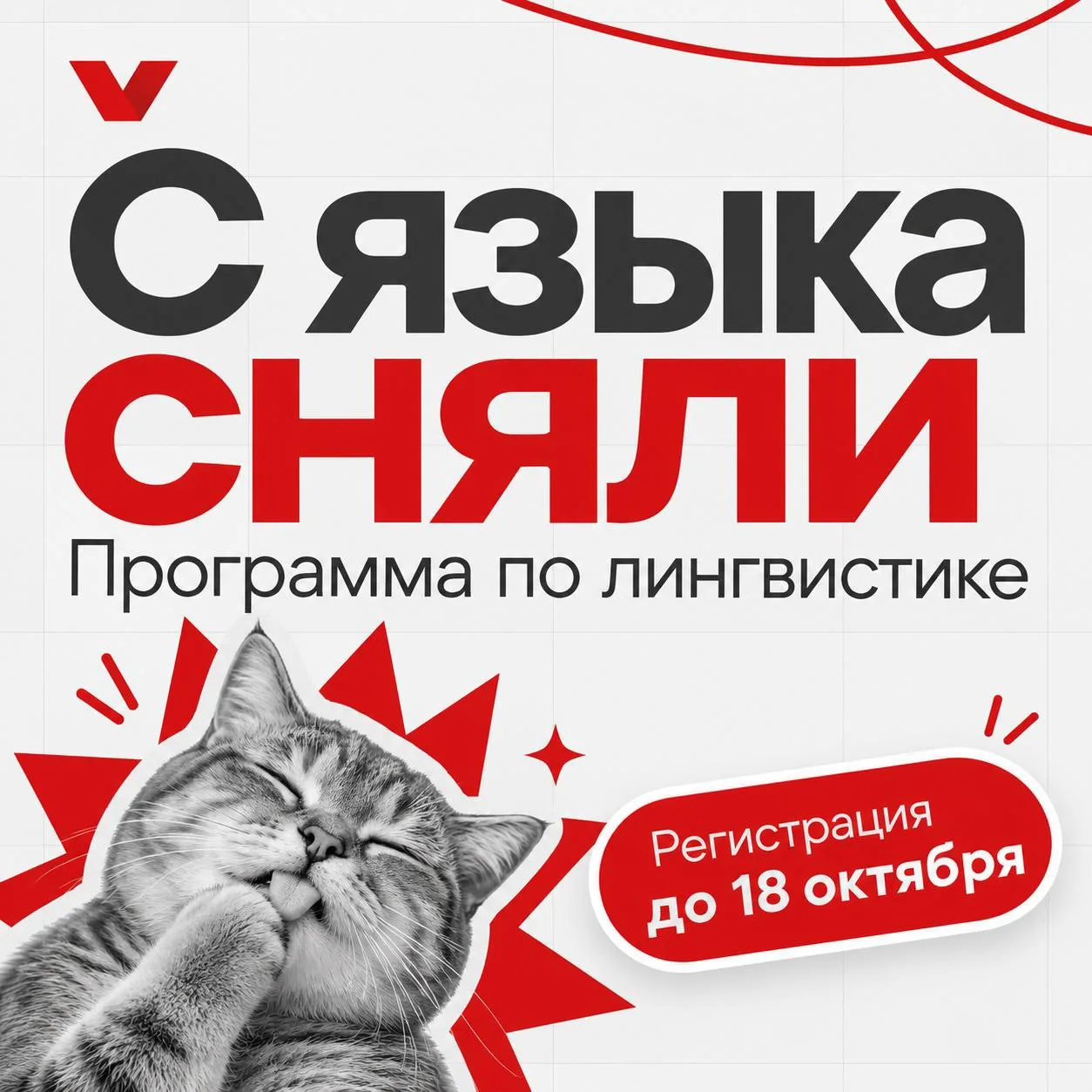 «Почему мы так говорим?» — вопрос, с которого может начаться исследование 👀
