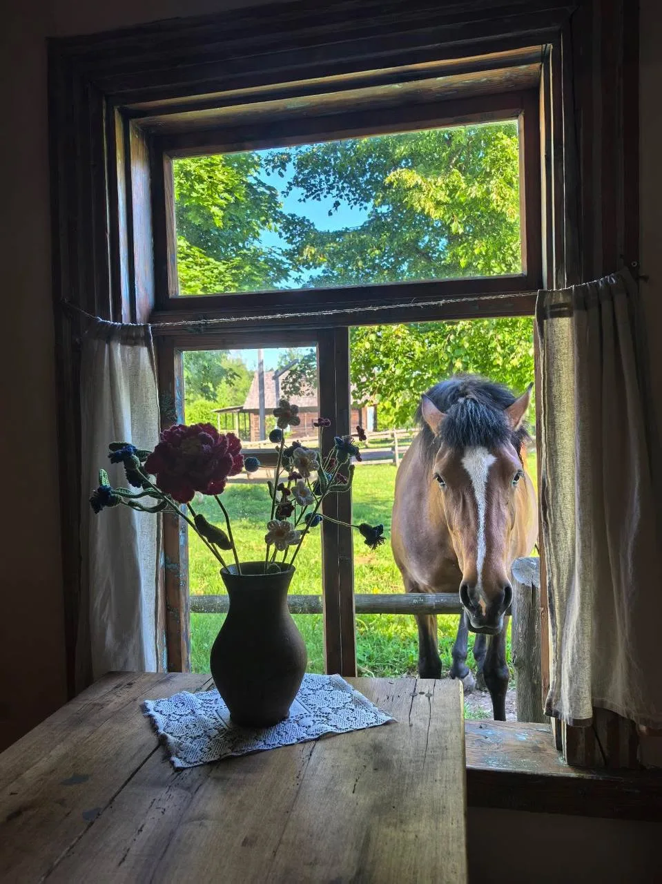 фото года 🐴 

где-то в Белорусской деревне

спасибо, что делитесь🙏