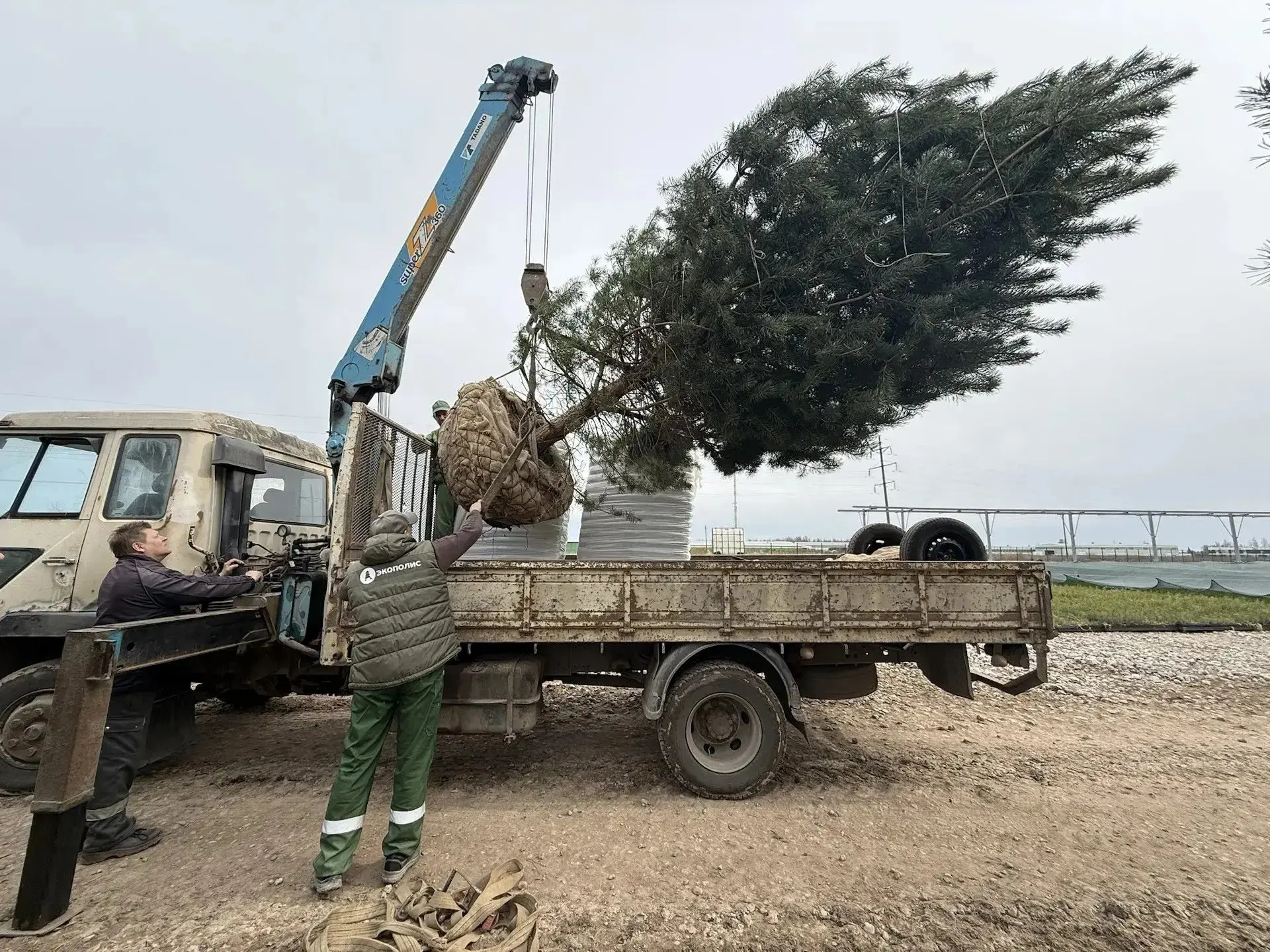 «Экополис» прорастает за пределы области 🌿