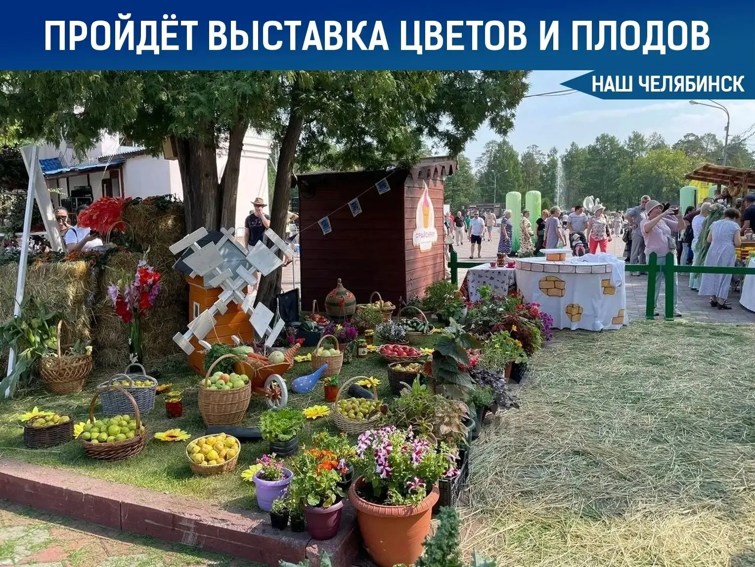 🌼 В парке Гагарина пройдет выставка цветов и плодов! И наш детский сад принимает актив...