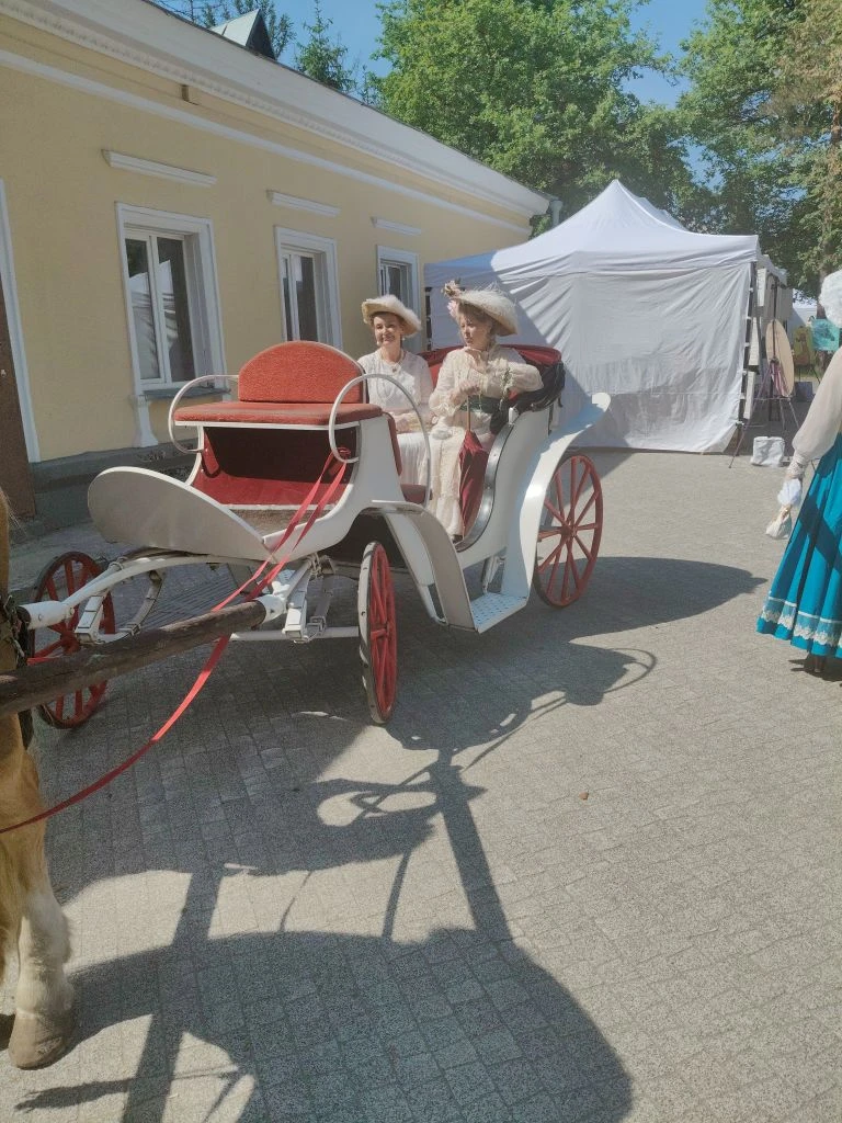 Катаем на каретах , можно заказать на мероприятие 🥰